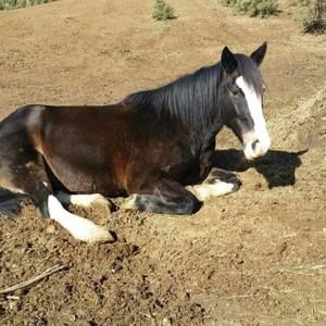 Meet your Posher, Elena